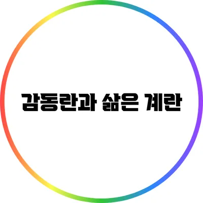 감동란과 삶은 계란