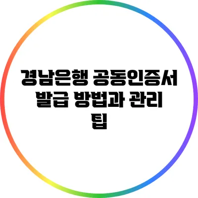 경남은행 공동인증서 발급 방법과 관리 팁