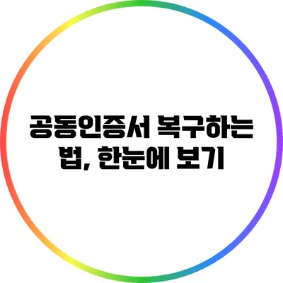 공동인증서 복구하는 법, 한눈에 보기