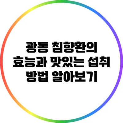 광동 침향환의 효능과 맛있는 섭취 방법 알아보기