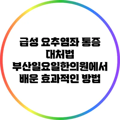 급성 요추염좌 통증 대처법: 부산일요일한의원에서 배운 효과적인 방법
