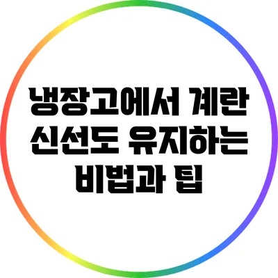 냉장고에서 계란 신선도 유지하는 비법과 팁