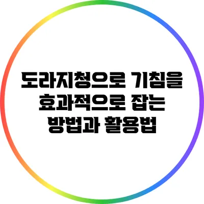 도라지청으로 기침을 효과적으로 잡는 방법과 활용법