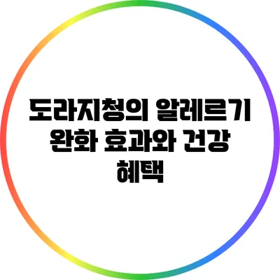 도라지청의 알레르기 완화 효과와 건강 혜택