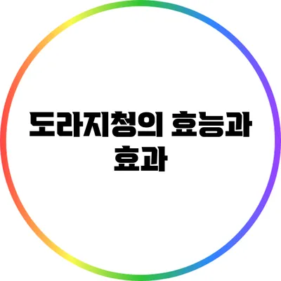 도라지청의 효능과 효과