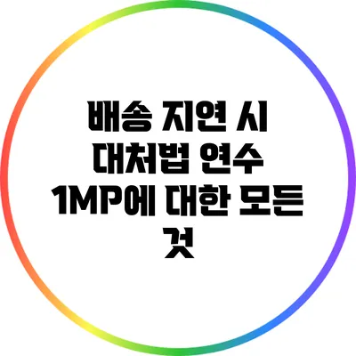 배송 지연 시 대처법: 연수 1MP에 대한 모든 것