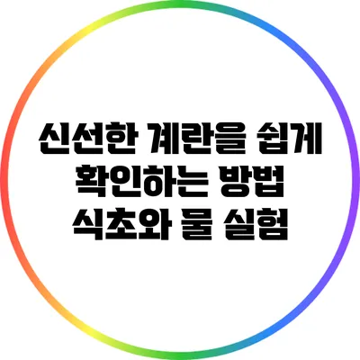 신선한 계란을 쉽게 확인하는 방법: 식초와 물 실험
