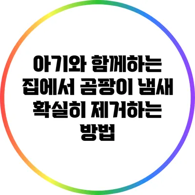 아기와 함께하는 집에서 곰팡이 냄새 확실히 제거하는 방법