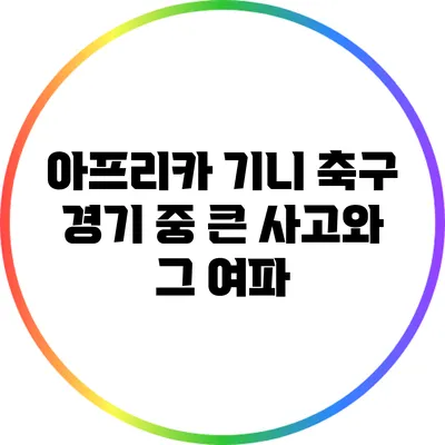 아프리카 기니 축구 경기 중 큰 사고와 그 여파