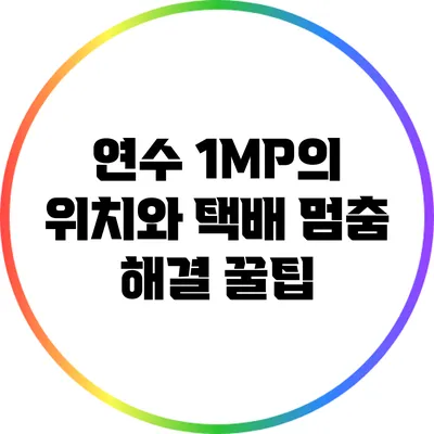 연수 1MP의 위치와 택배 멈춤 해결 꿀팁