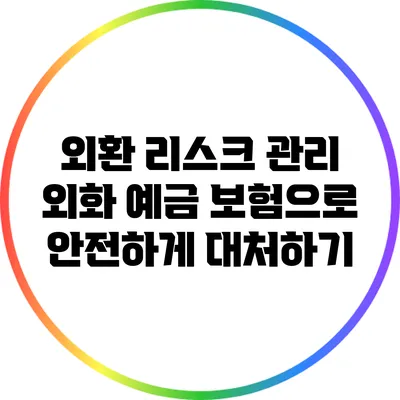 외환 리스크 관리: 외화 예금 보험으로 안전하게 대처하기