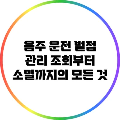 음주 운전 벌점 관리: 조회부터 소멸까지의 모든 것