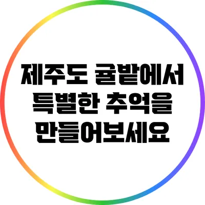 제주도 귤밭에서 특별한 추억을 만들어보세요