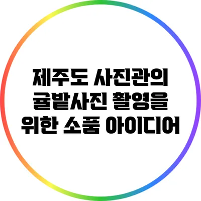 제주도 사진관의 귤밭사진 촬영을 위한 소품 아이디어
