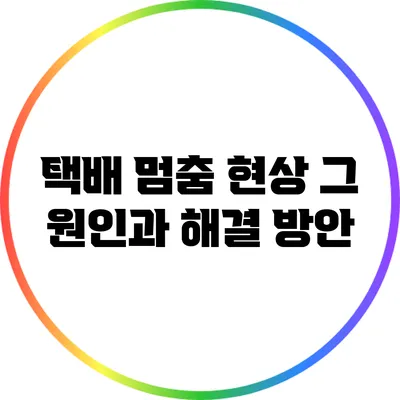 택배 멈춤 현상: 그 원인과 해결 방안