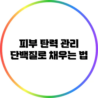피부 탄력 관리: 단백질로 채우는 법