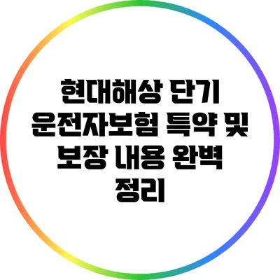 현대해상 단기 운전자보험 특약 및 보장 내용 완벽 정리