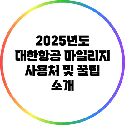 2025년도 대한항공 마일리지 사용처 및 꿀팁 소개