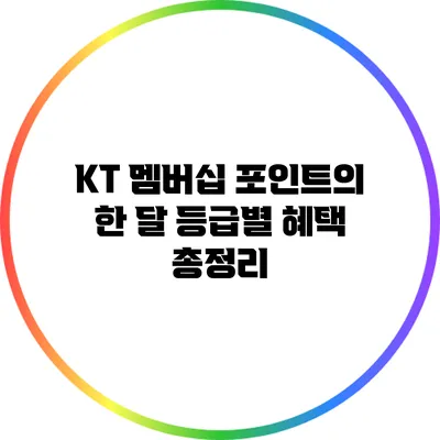 KT 멤버십 포인트의 한 달 등급별 혜택 총정리