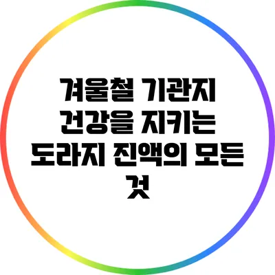 겨울철 기관지 건강을 지키는 도라지 진액의 모든 것