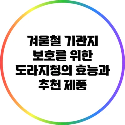 겨울철 기관지 보호를 위한 도라지청의 효능과 추천 제품