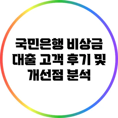 국민은행 비상금 대출 고객 후기 및 개선점 분석