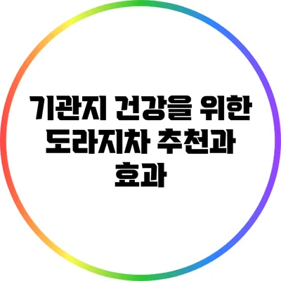기관지 건강을 위한 도라지차 추천과 효과