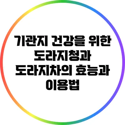 기관지 건강을 위한 도라지청과 도라지차의 효능과 이용법