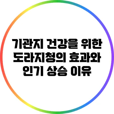 기관지 건강을 위한 도라지청의 효과와 인기 상승 이유