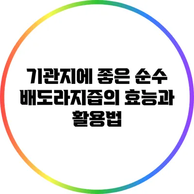 기관지에 좋은 순수 배도라지즙의 효능과 활용법