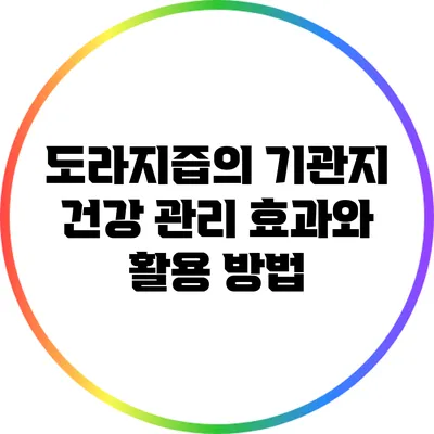 도라지즙의 기관지 건강 관리 효과와 활용 방법