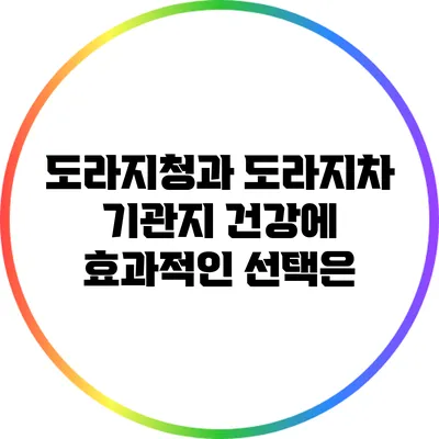 도라지청과 도라지차: 기관지 건강에 효과적인 선택은?