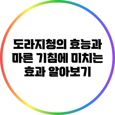 도라지청의 효능과 마른 기침에 미치는 효과 알아보기