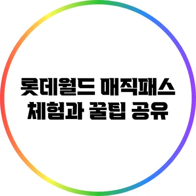 롯데월드 매직패스 체험과 꿀팁 공유