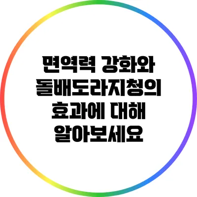 면역력 강화와 돌배도라지청의 효과에 대해 알아보세요