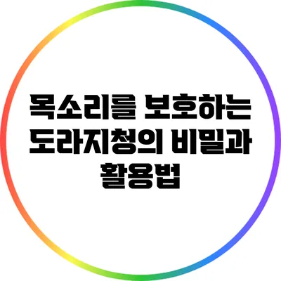 목소리를 보호하는 도라지청의 비밀과 활용법