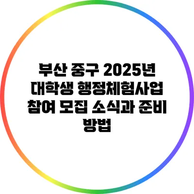 부산 중구 2025년 대학생 행정체험사업 참여 모집 소식과 준비 방법