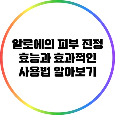 알로에의 피부 진정 효능과 효과적인 사용법 알아보기