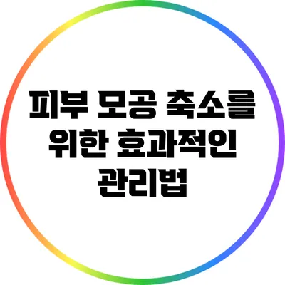 피부 모공 축소를 위한 효과적인 관리법