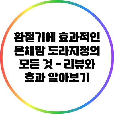 환절기에 효과적인 은채맘 도라지청의 모든 것 - 리뷰와 효과 알아보기