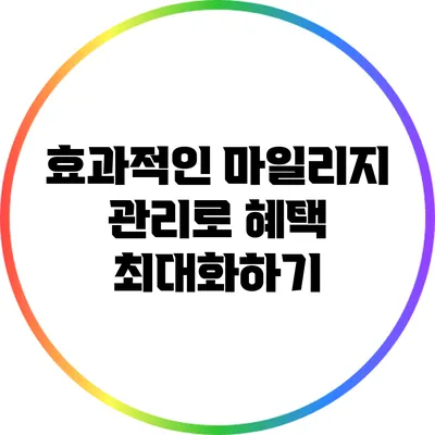 효과적인 마일리지 관리로 혜택 최대화하기