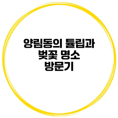 양림동의 튤립과 벚꽃 명소 방문기