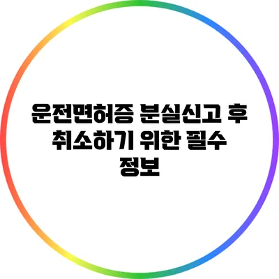 운전면허증 분실신고 후 취소하기 위한 필수 정보