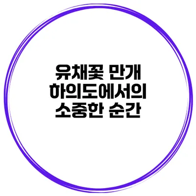 유채꽃 만개 하의도에서의 소중한 순간